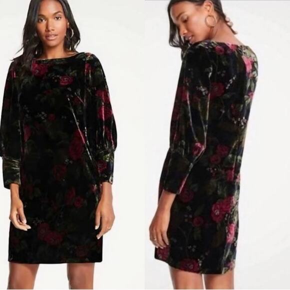 Ann Taylor Dark Floral Velvet Shift Dress NWT Size 18 Balloon Sleeve - Picture 4 of 14